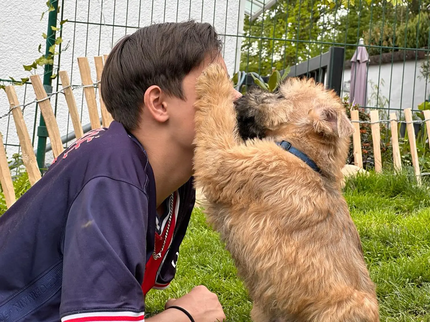 Hunde spielen im Garten von Wheaten Vagabond