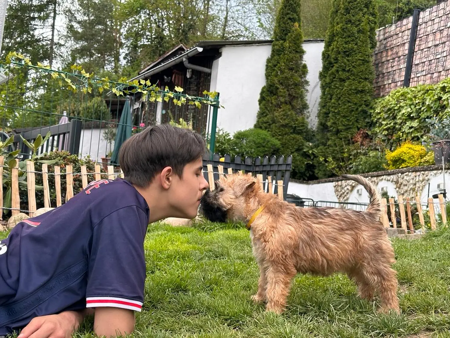 Hunde spielen im Garten von Wheaten Vagabond