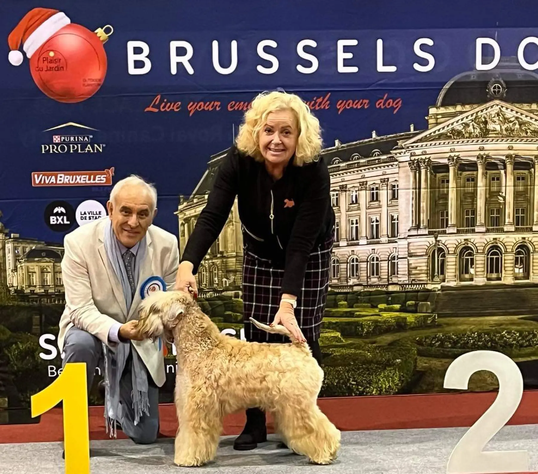 Internationale Frühlingshundeausstellung von Wheaten Vagabond
