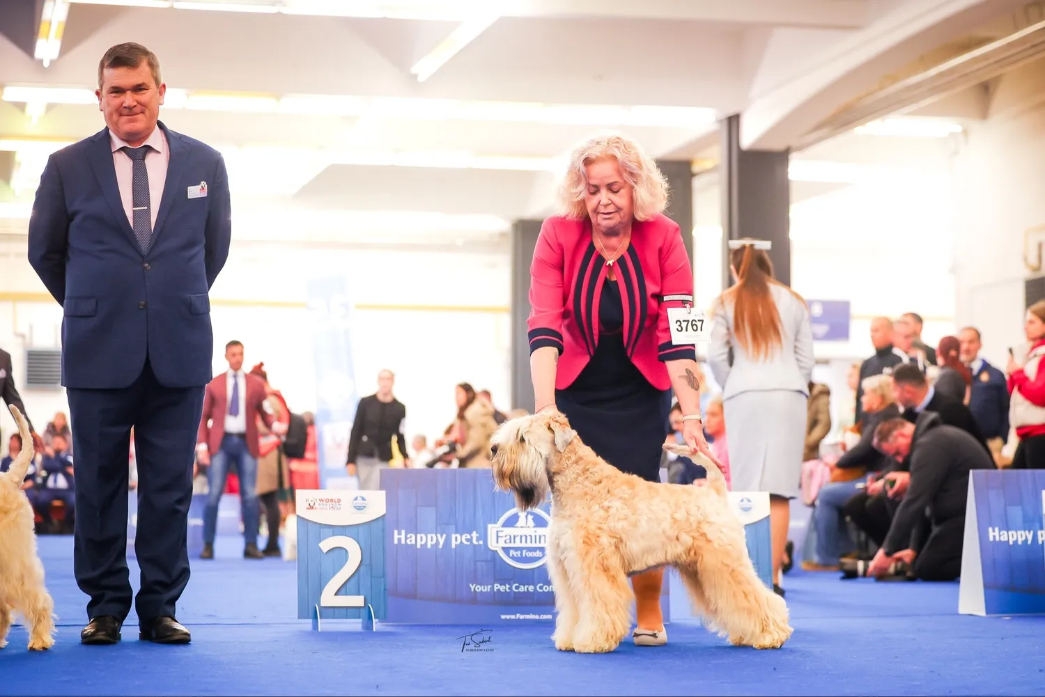 Internationale Frühlingshundeausstellung von Wheaten Vagabond