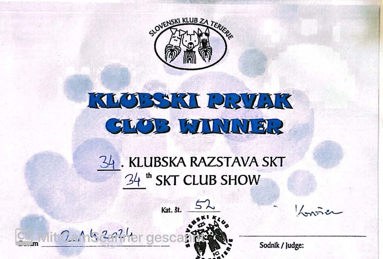 klubski prak club winner