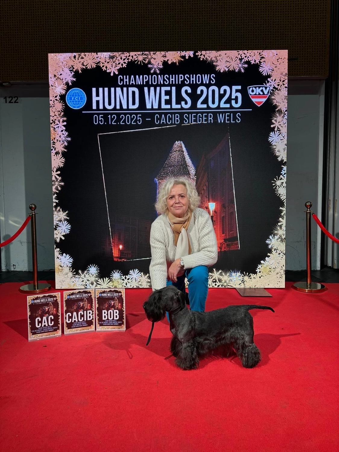 Hunde von Wheaten Vagabond