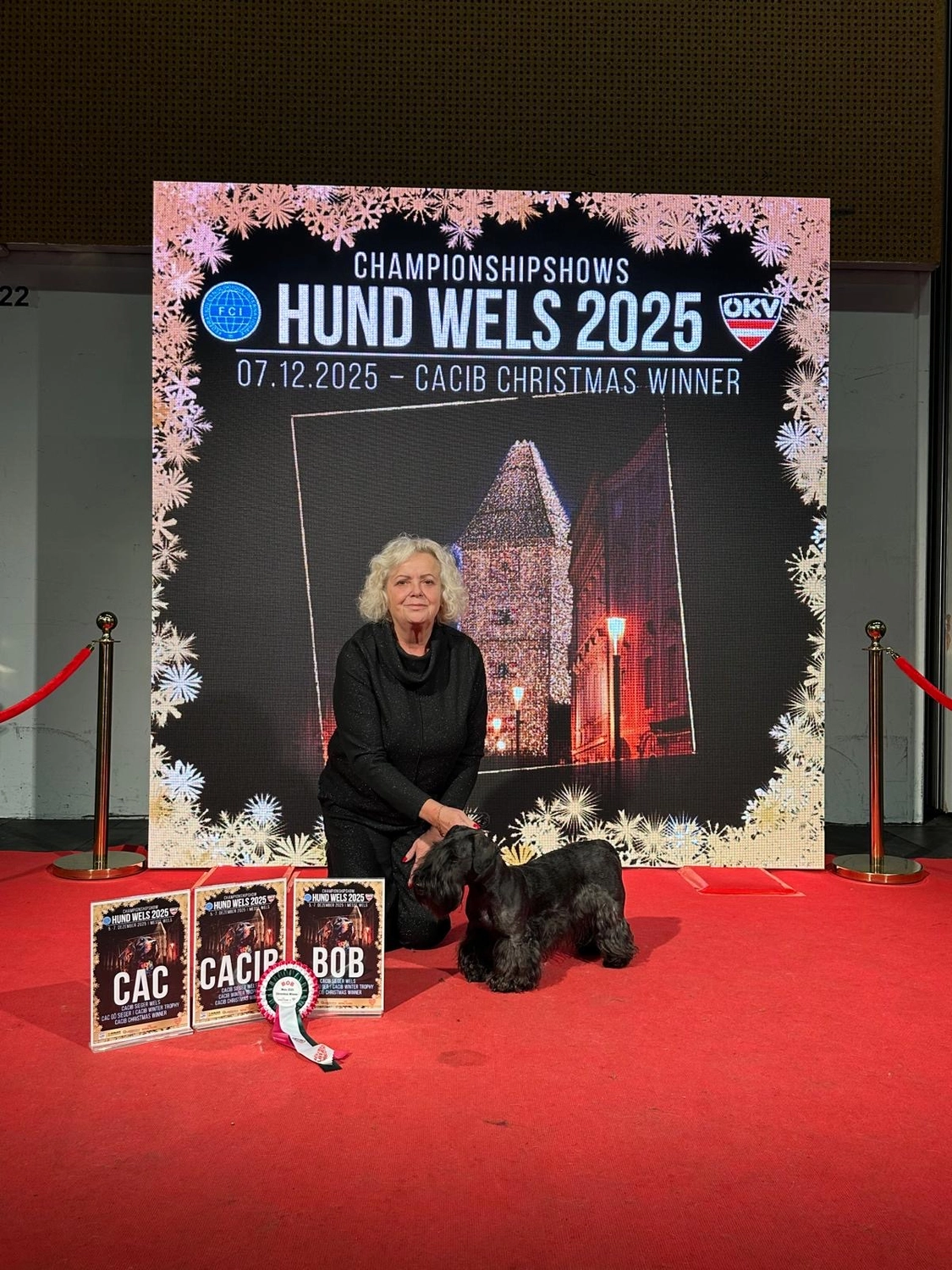 Hunde von Wheaten Vagabond