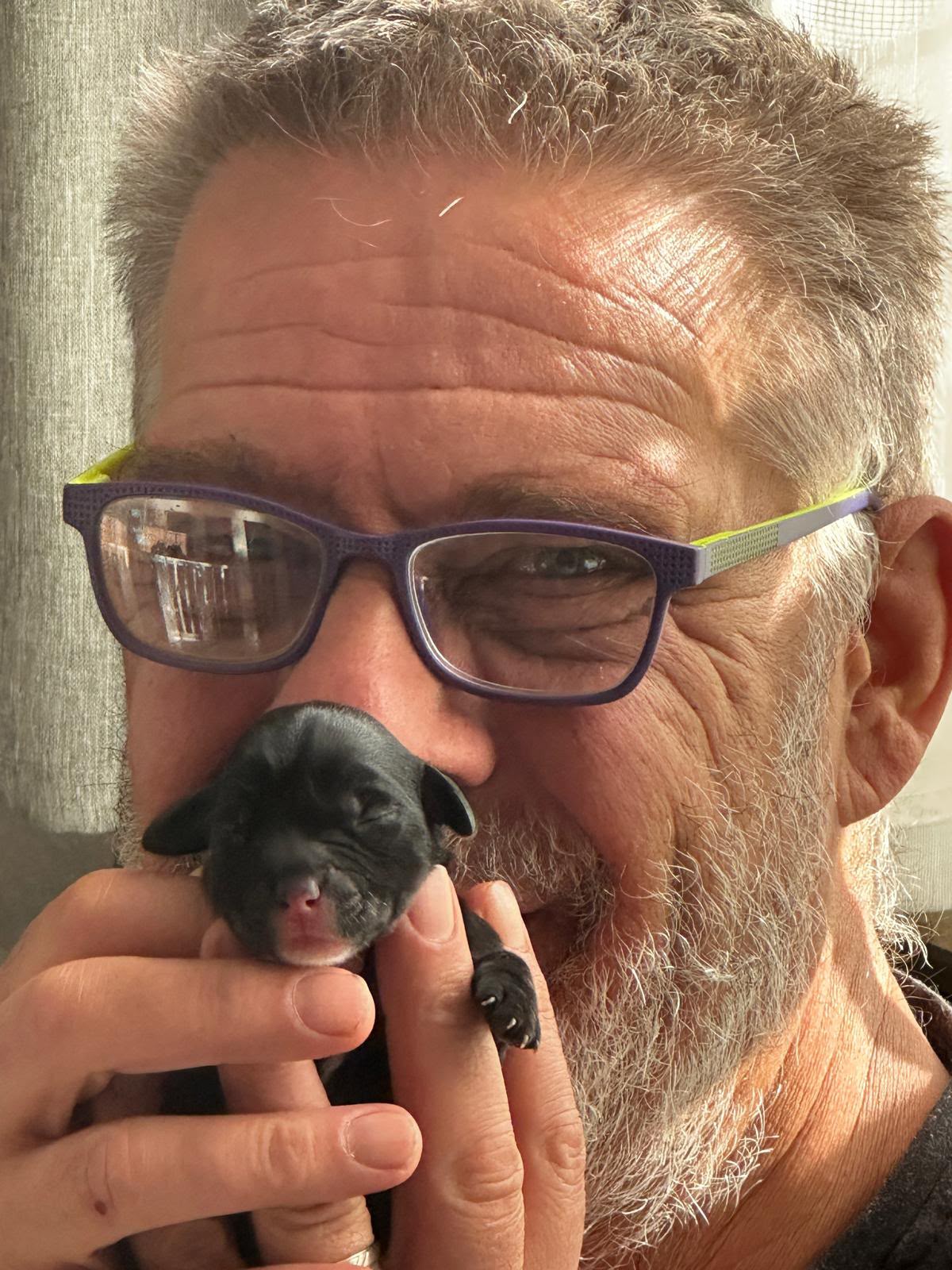 Frank Süchting mit einem neugeborenen Cesky-Terrier-Welpen